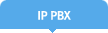 IP PBX