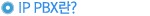 IP PBX?